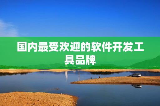 国内最受欢迎的软件开发工具品牌