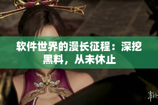 软件世界的漫长征程：深挖黑料，从未休止