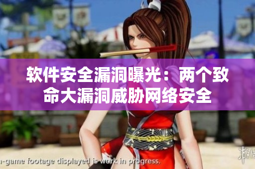 软件安全漏洞曝光：两个致命大漏洞威胁网络安全