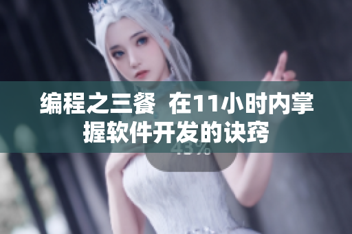 编程之三餐  在11小时内掌握软件开发的诀窍