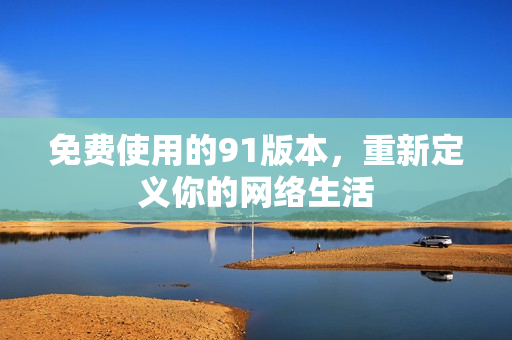 免费使用的91版本，重新定义你的网络生活