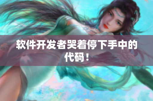 软件开发者哭着停下手中的代码！
