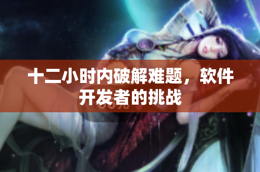 十二小时内破解难题，软件开发者的挑战