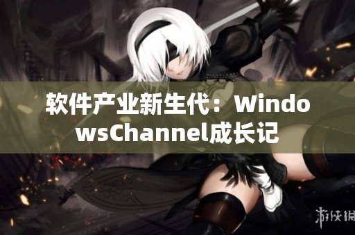 软件产业新生代：WindowsChannel成长记