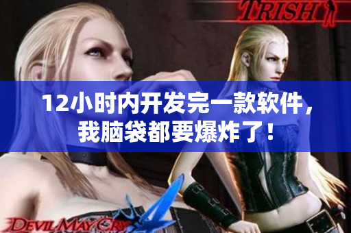 12小时内开发完一款软件，我脑袋都要爆炸了！