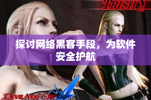 探讨网络黑客手段，为软件安全护航
