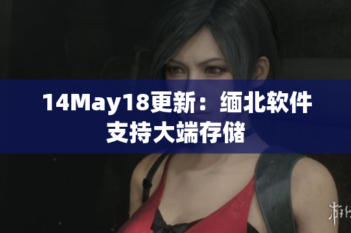 14May18更新：缅北软件支持大端存储