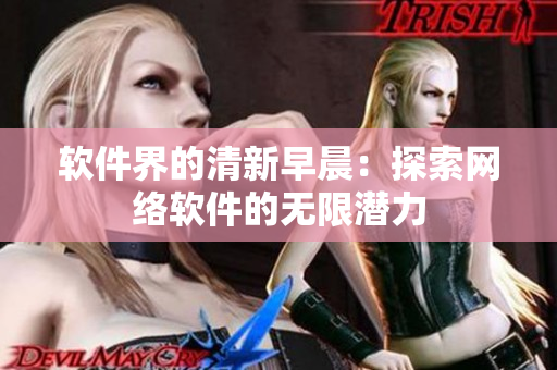 软件界的清新早晨：探索网络软件的无限潜力