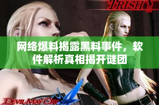 网络爆料揭露黑料事件，软件解析真相揭开谜团