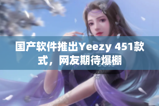国产软件推出Yeezy 451款式，网友期待爆棚