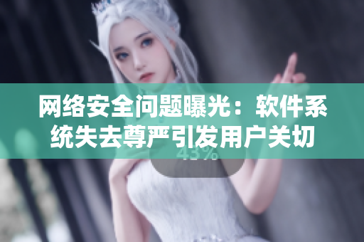 网络安全问题曝光：软件系统失去尊严引发用户关切
