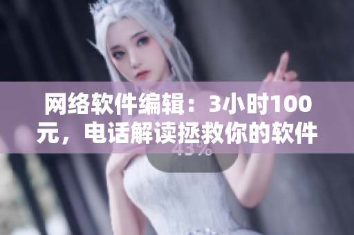 网络软件编辑：3小时100元，电话解读拯救你的软件开发！
