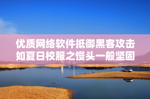 优质网络软件抵御黑客攻击如夏日校服之馒头一般坚固