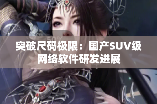突破尺码极限：国产SUV级网络软件研发进展