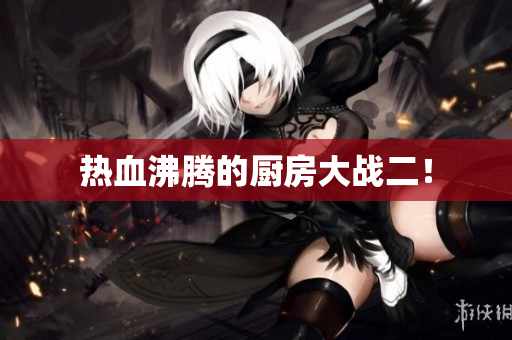 热血沸腾的厨房大战二！