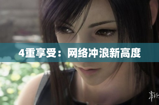 4重享受：网络冲浪新高度