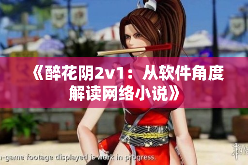 《醉花阴2v1：从软件角度解读网络小说》