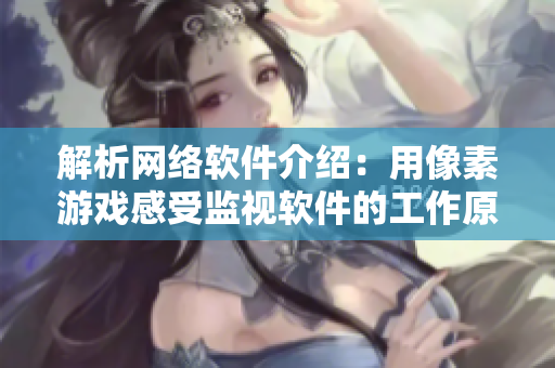 解析网络软件介绍：用像素游戏感受监视软件的工作原理