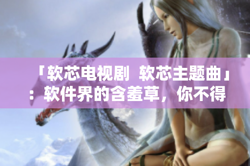 「软芯电视剧  软芯主题曲」：软件界的含羞草，你不得不看的IT剧！