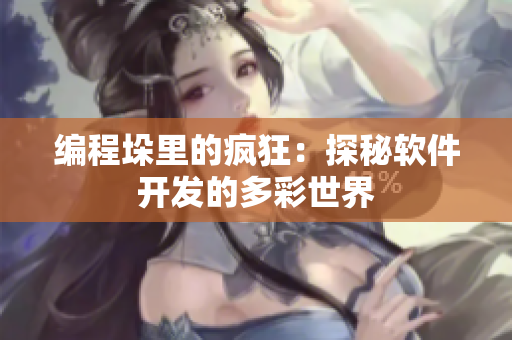 编程垛里的疯狂：探秘软件开发的多彩世界