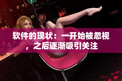 软件的现状：一开始被忽视，之后逐渐吸引关注