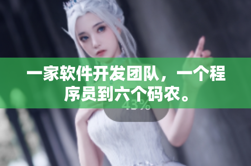 一家软件开发团队，一个程序员到六个码农。