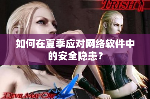 如何在夏季应对网络软件中的安全隐患？