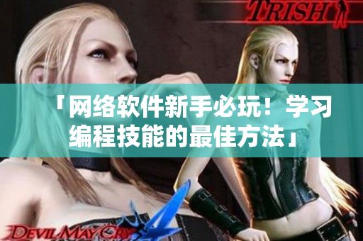「网络软件新手必玩！学习编程技能的最佳方法」
