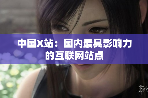 中国X站：国内最具影响力的互联网站点