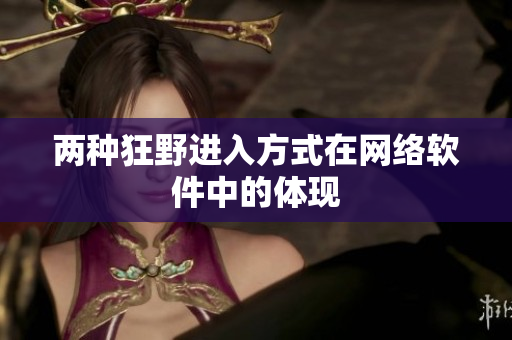 两种狂野进入方式在网络软件中的体现