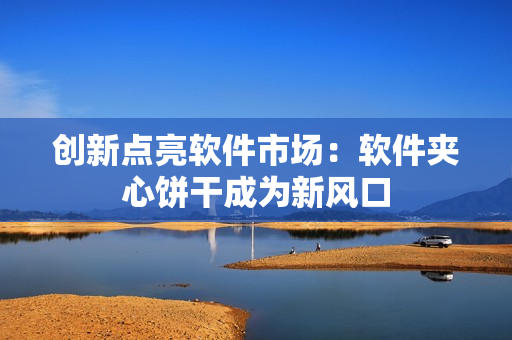 创新点亮软件市场：软件夹心饼干成为新风口