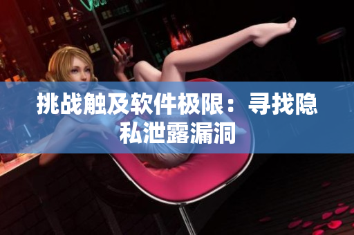 挑战触及软件极限：寻找隐私泄露漏洞