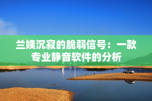 兰姨沉寂的脆弱信号：一款专业静音软件的分析