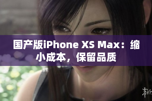 国产版iPhone XS Max：缩小成本，保留品质