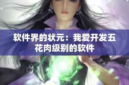 软件界的状元：我爱开发五花肉级别的软件