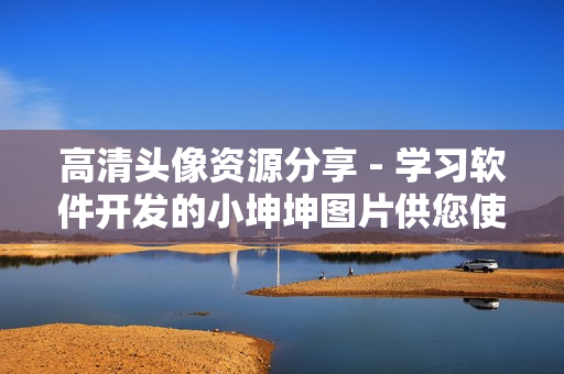 高清头像资源分享 - 学习软件开发的小坤坤图片供您使用