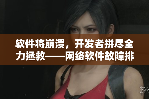 软件将崩溃，开发者拼尽全力拯救——网络软件故障排除实录