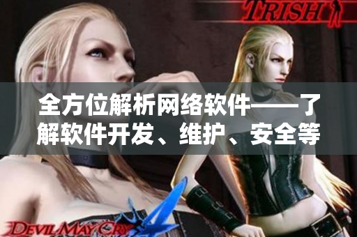 全方位解析网络软件——了解软件开发、维护、安全等全流程
