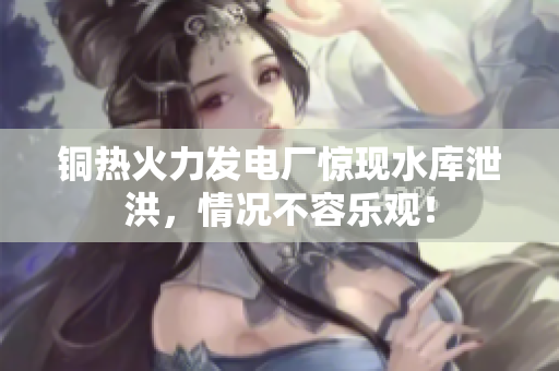 铜热火力发电厂惊现水库泄洪，情况不容乐观！