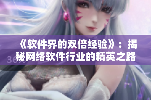 《软件界的双倍经验》：揭秘网络软件行业的精英之路