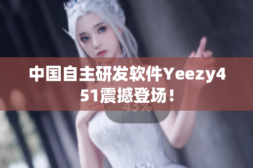 中国自主研发软件Yeezy451震撼登场！