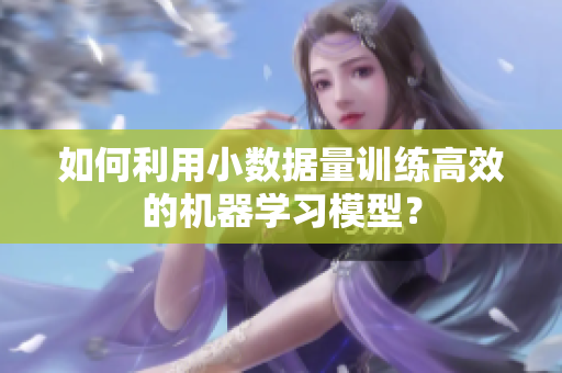 如何利用小数据量训练高效的机器学习模型？