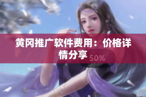 黄冈推广软件费用：价格详情分享
