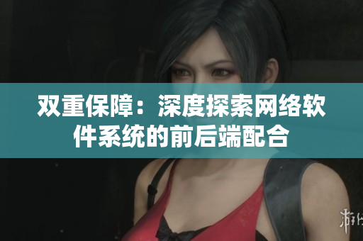 双重保障：深度探索网络软件系统的前后端配合