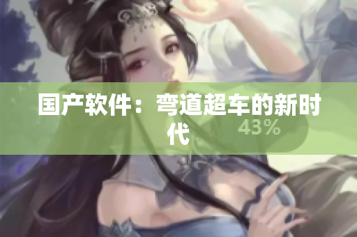 国产软件：弯道超车的新时代