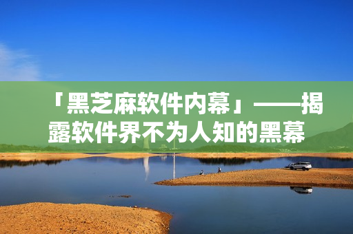 「黑芝麻软件内幕」——揭露软件界不为人知的黑幕