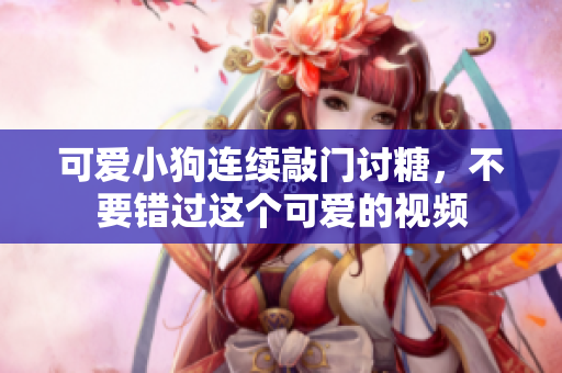 可爱小狗连续敲门讨糖，不要错过这个可爱的视频