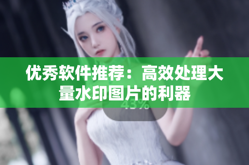优秀软件推荐：高效处理大量水印图片的利器