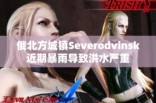 俄北方城镇Severodvinsk近期暴雨导致洪水严重