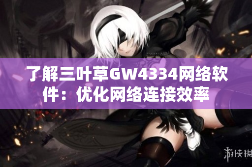 了解三叶草GW4334网络软件：优化网络连接效率